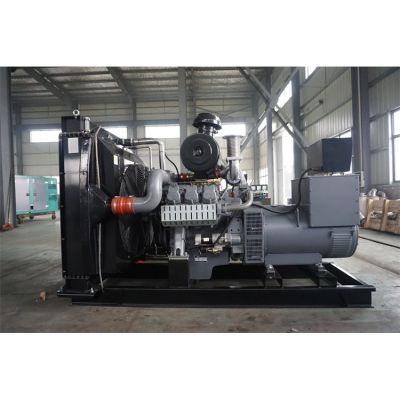 200kw威曼柴油發(fā)電機(jī)組-威曼6缸柴油機(jī)D11A2柴油發(fā)電機(jī)組,缸徑/行程：128/142mm,柴油發(fā)電機(jī)組水冷發(fā)動(dòng)機(jī)功率264KW,柴油發(fā)電機(jī)組配套馬拉松斯坦福發(fā)電機(jī)。廠(chǎng)價(jià)直銷(xiāo)歡迎選購(gòu)：13773399855。